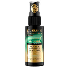Eveline Cosmetics Long-Lasting Mist mgiełka utrwalająco-odświeżająca Bio Aloes 50ml