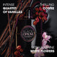 Yves Saint Laurent Black Opium Le Parfum woda perfumowana spray 50ml