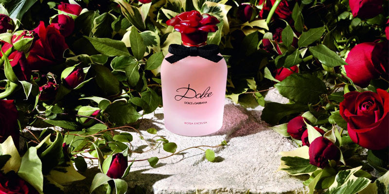 Dolce&Gabbana Dolce Rosa Excelsa – kwiatowa nowość, która umili Ci jesień