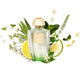 Creed Acqua Originale Green Neroli woda perfumowana spray
