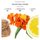 Bibliotheque de Parfum Counting Stars woda perfumowana spray