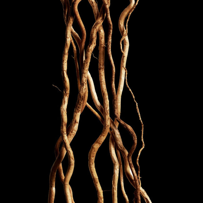 Davidoff Cool Water Reborn Woman woda toaletowa