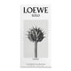 Loewe Solo Cedro woda toaletowa