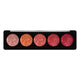 Profusion Eyeshadow Palette paleta 5 cieni do powiek