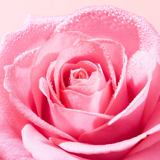 Nuxe Very Rose łagodząca woda micelarna 200ml