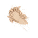 Quiz Cosmetics Matte Translucent Powder transparentny puder matujący