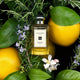 Jo Malone Grapefruit Cologne woda kolońska