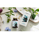 HealthLabs DetoxMe wsparcie pracy wątroby suplement diety 90 kapsułek