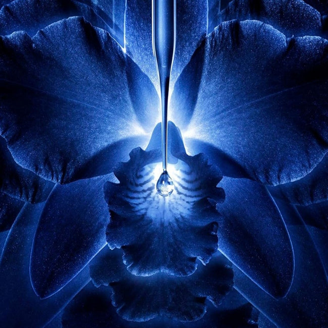 Guerlain Orchidee Imperiale przeciwstarzeniowa emulsja aktywująca długowieczność 140ml