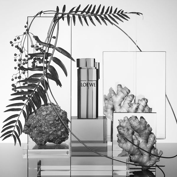 Loewe Loewe 7 Plata Pour Homme woda toaletowa spray