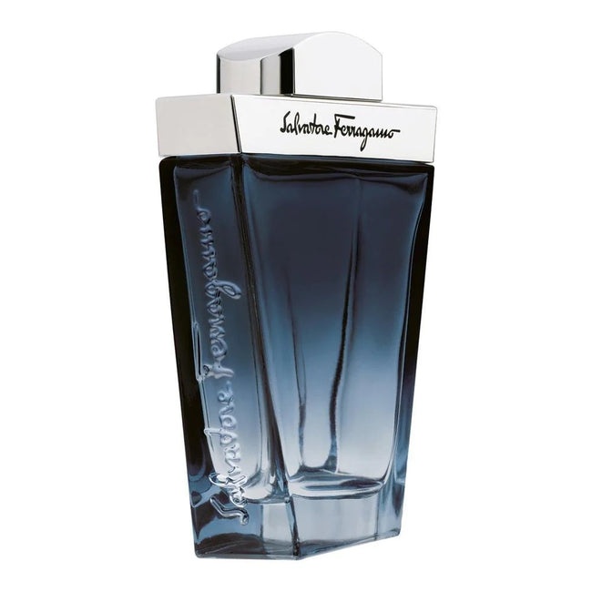 Salvatore Ferragamo Subtil Pour Homme woda toaletowa spray