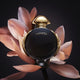 Paco Rabanne Olympea perfumy