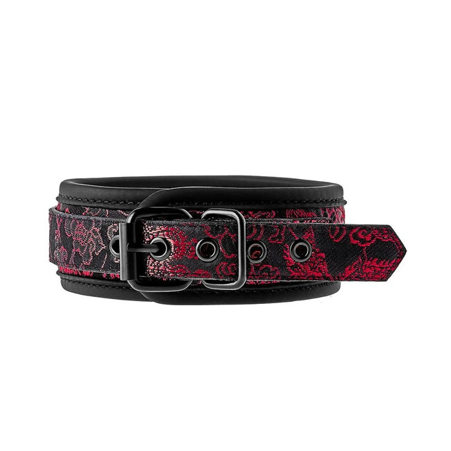 Dream Toys Blaze Deluxe Collar & Leash obroża ze smyczą
