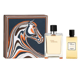 Hermes Terre D'Hermes zestaw woda toaletowa spray 100ml + żel pod prysznic 80ml