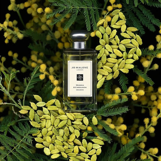 Jo Malone Mimosa & Cardamom Cologne woda kolońska