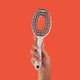 Sister Young Coco Hair Brush szczotka do włosów z włosiem dzika White