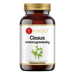 Yango Cissus czworograniasty suplement diety 90 kapsułek