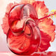 Bvlgari Omnia Coral woda toaletowa spray