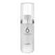 Masil 6 Salon Lactobacillus Hair Oil lekki perfumowany olejek do włosów 66ml
