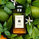 Jo Malone Lime Basil & Mandarin Cologne woda kolońska