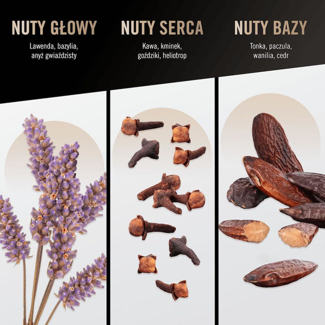 Bruno Banani Man woda toaletowa