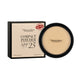 Pierre Rene Professional Compact Powder SPF25 Limited puder prasowany