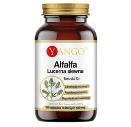 Yango Alfalfa lucerna siewna suplement diety 60 kapsułek