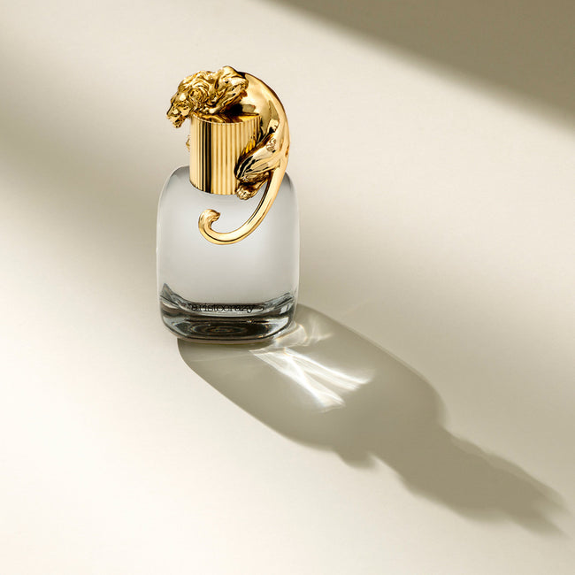 Aristocrazy Brave woda toaletowa spray