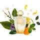 Creed Acqua Originale Zeste Mandarine woda perfumowana spray
