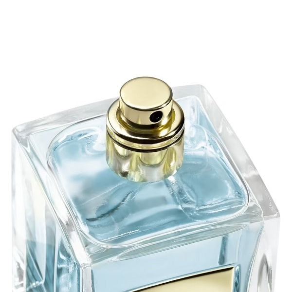Giorgio Armani Vetiver D'hiver woda toaletowa