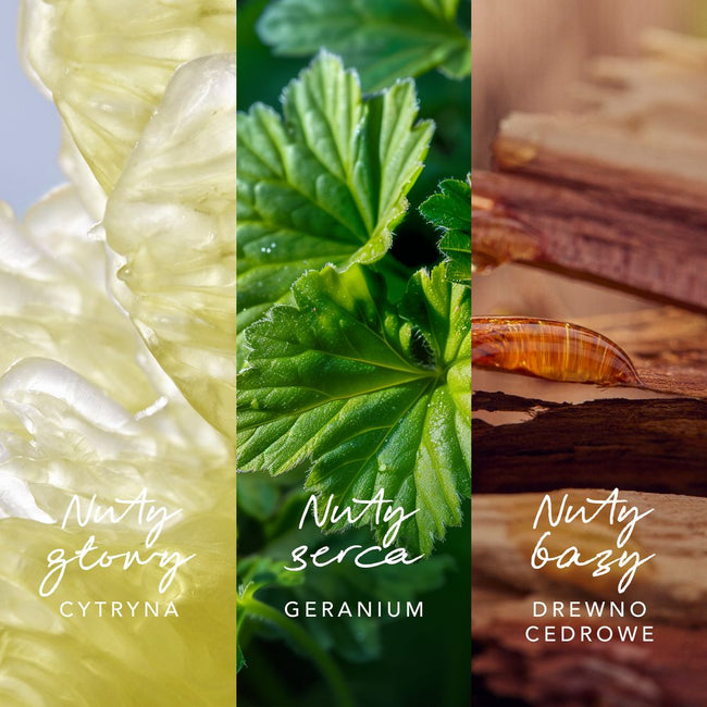 Mexx Inspired Nature for Him woda perfumowana