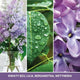 Yankee Candle Średnia świeca zapachowa Lilac Blossoms 368g