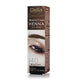 Delia Eyebrow Expert tradycyjna henna do brwi