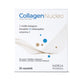 Norsa Pharma Collagen Nucleo suplement diety 30 saszetek