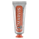 MARVIS Ginger Mint Toothpaste pasta do zębów z fluorem 25ml