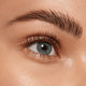 Catrice Lift & Laminate Brow Gel żel do brwi