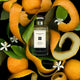 Jo Malone Orange Marmalade woda kolońska