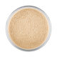 Pierre Rene Natural Glow Loose Powder sypki puder do twarzy