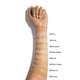 Paese Nanorevit Natural Finish Longwear Everyday Foundation długotrwały podkład o naturalnym wykończeniu 1.5 Nude 35ml