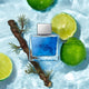 Antonio Banderas Blue Seduction For Men Eau de Toilette woda toaletowa spray