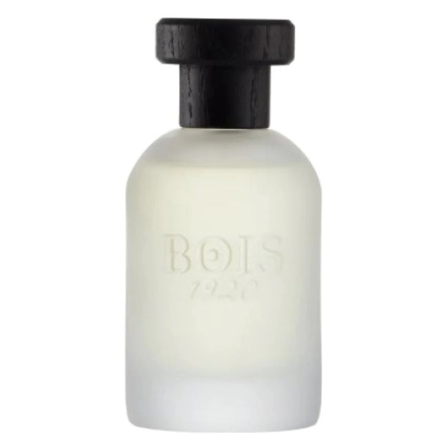 Bois 1920 Classic 1920 woda perfumowana spray