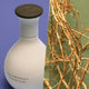 The Harmonist Desired Earth perfumy