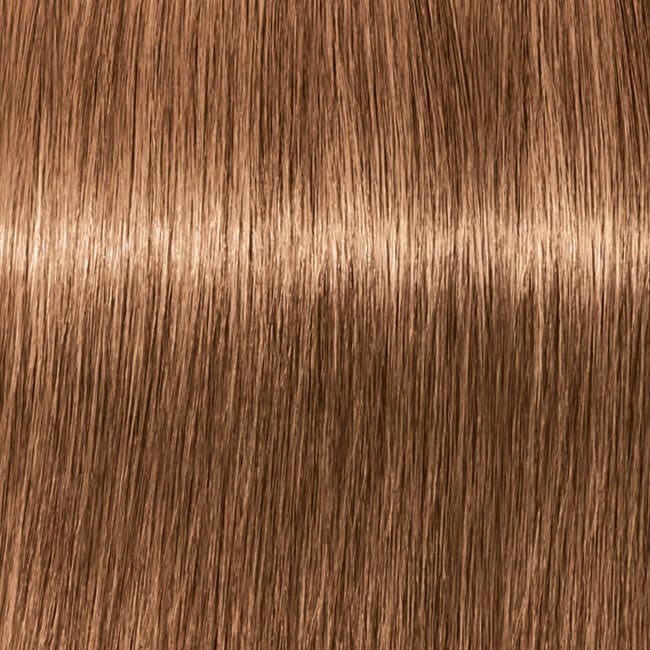 Schwarzkopf Professional Igora Expert Mousse koloryzująca pianka do włosów 7-65 Średni Blond Czekoladowo-Złoty 100ml