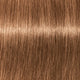 Schwarzkopf Professional Igora Expert Mousse koloryzująca pianka do włosów 7-65 Średni Blond Czekoladowo-Złoty 100ml