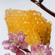 Jo Malone Nectarine Blossom & Honey Cologne woda kolońska