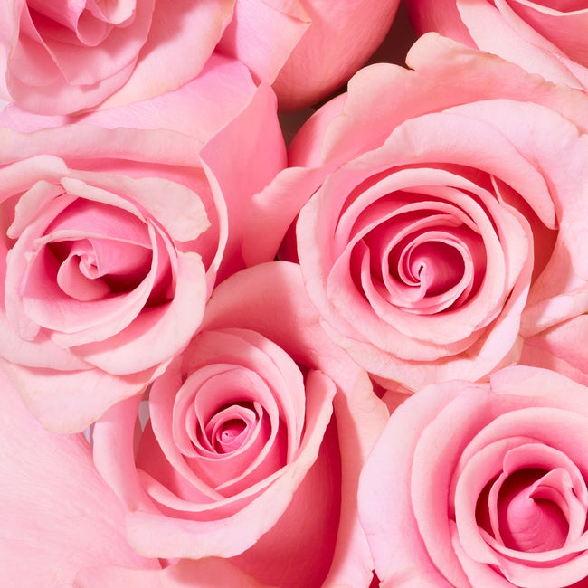 Nuxe Very Rose różany żel pod prysznic 750ml