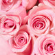 Nuxe Very Rose różany żel pod prysznic 750ml