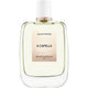 Roos & Roos A Capella woda perfumowana spray