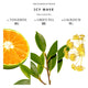 Bibliotheque de Parfum Icy Wave woda perfumowana spray