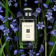 Jo Malone Wild Bluebell Cologne woda kolońska